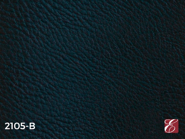 2105B
