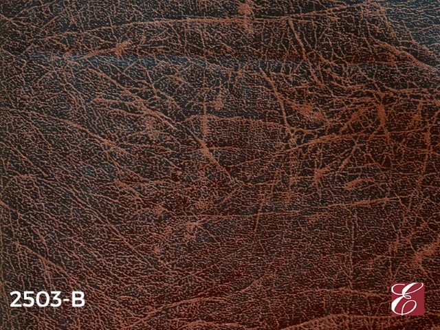 2503B